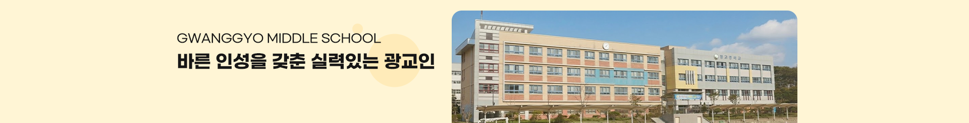 s_visual (28).png